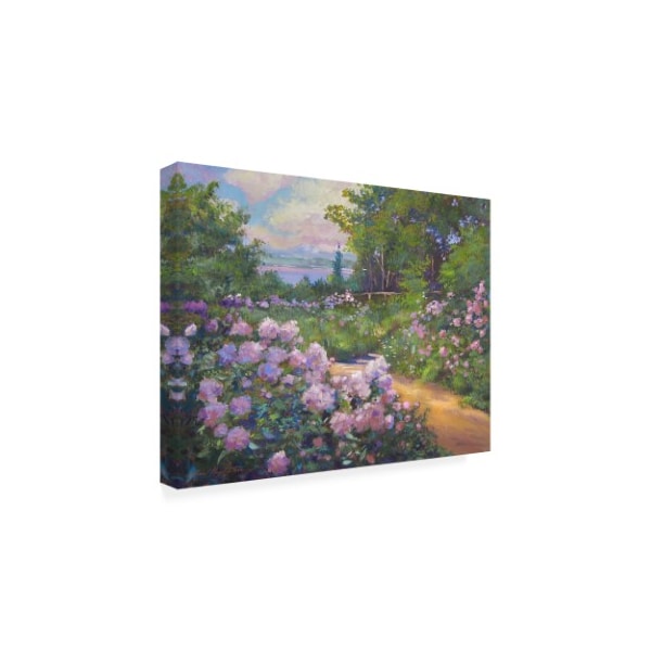 David Lloyd Glover 'Beach Garden Impressions' Canvas Art,35x47